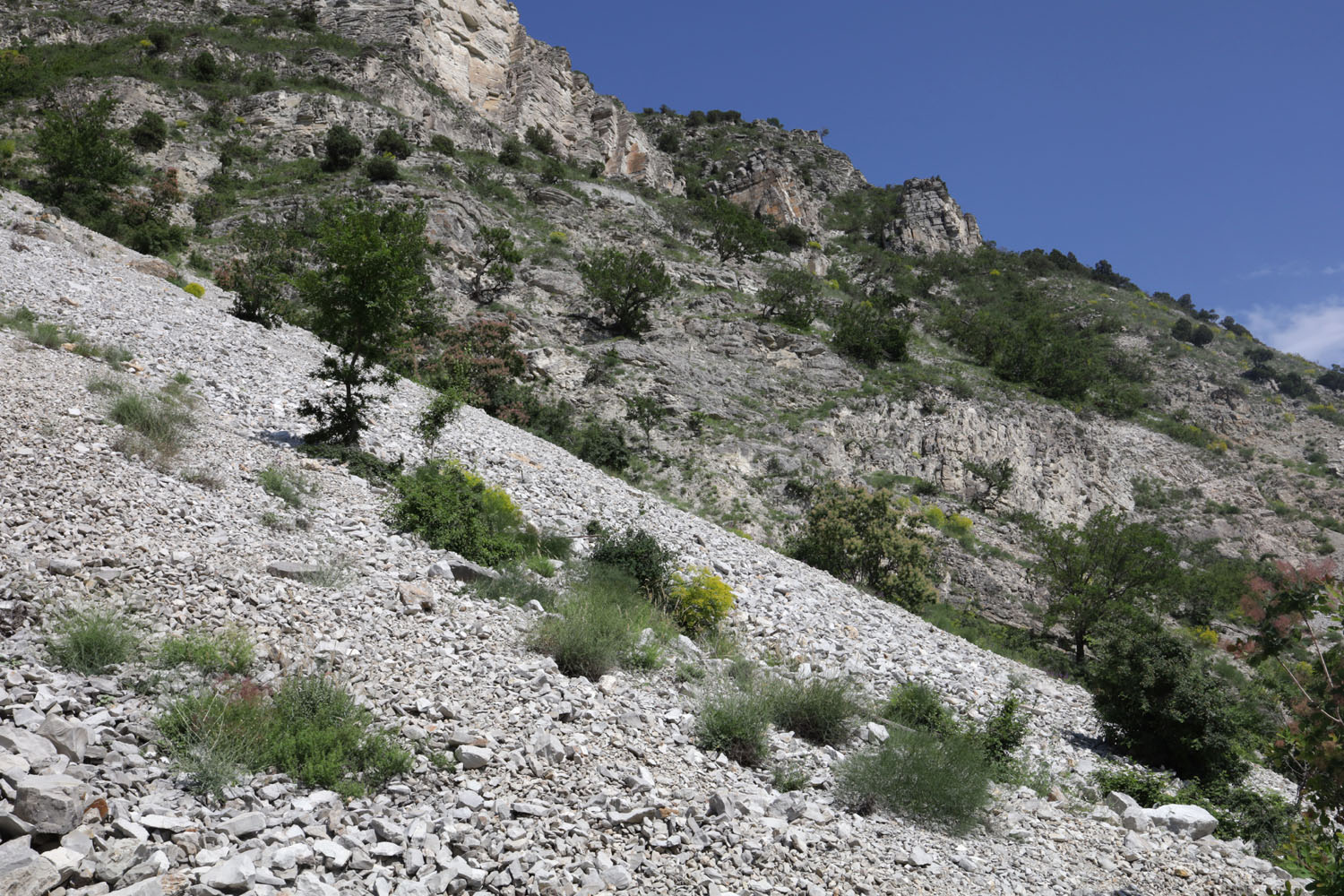 Сулакский каньон, image of landscape/habitat.