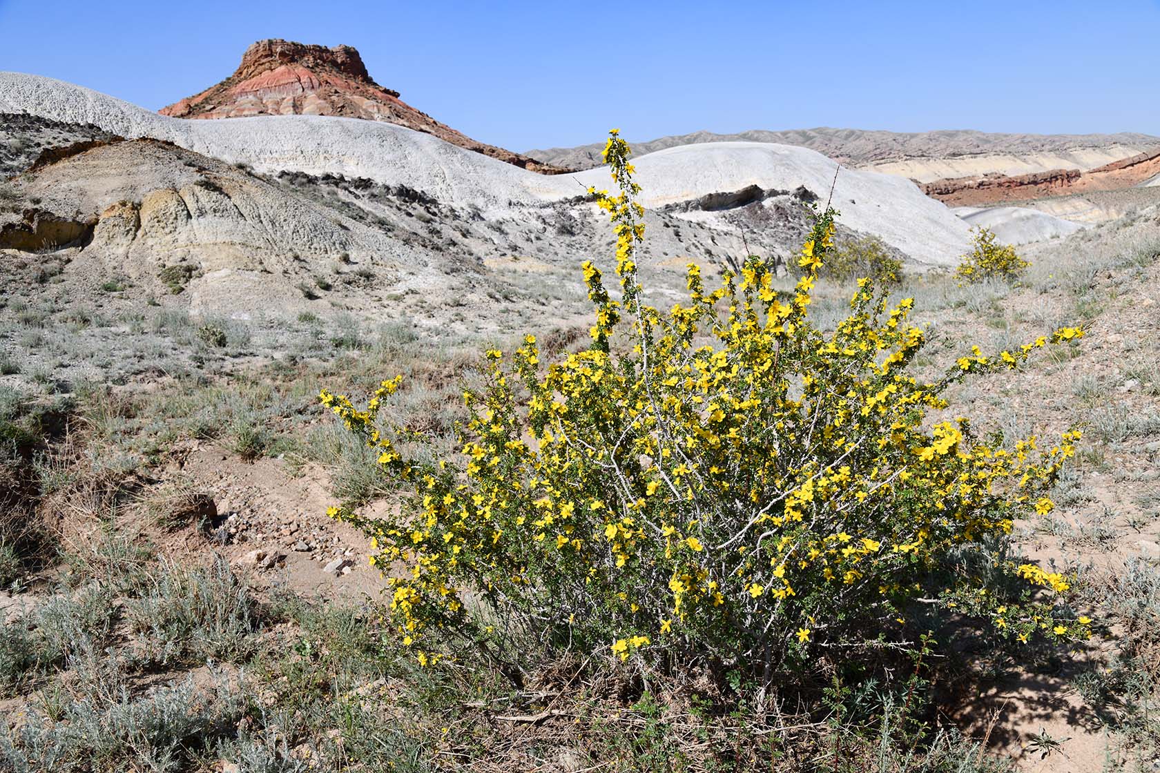 Мадыген, image of landscape/habitat.