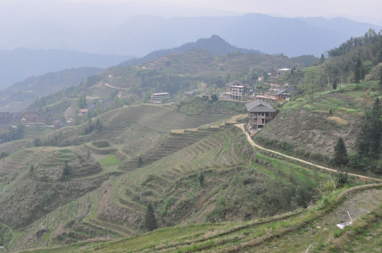 Рисовые террасы Дажай, image of landscape/habitat.