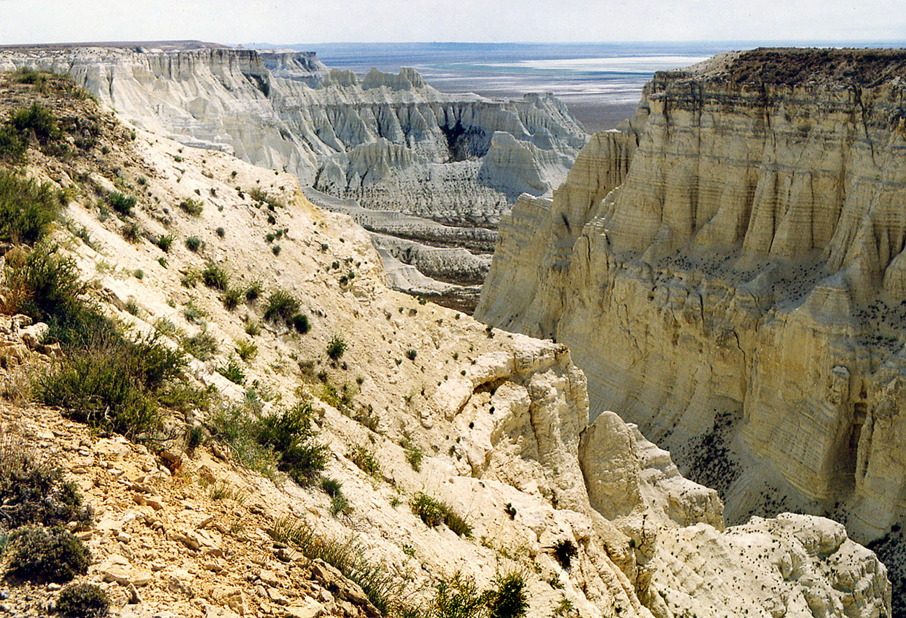 Меловое плато Актолагай, image of landscape/habitat.