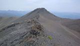 Окрестности перевала Чаухи, image of landscape/habitat.