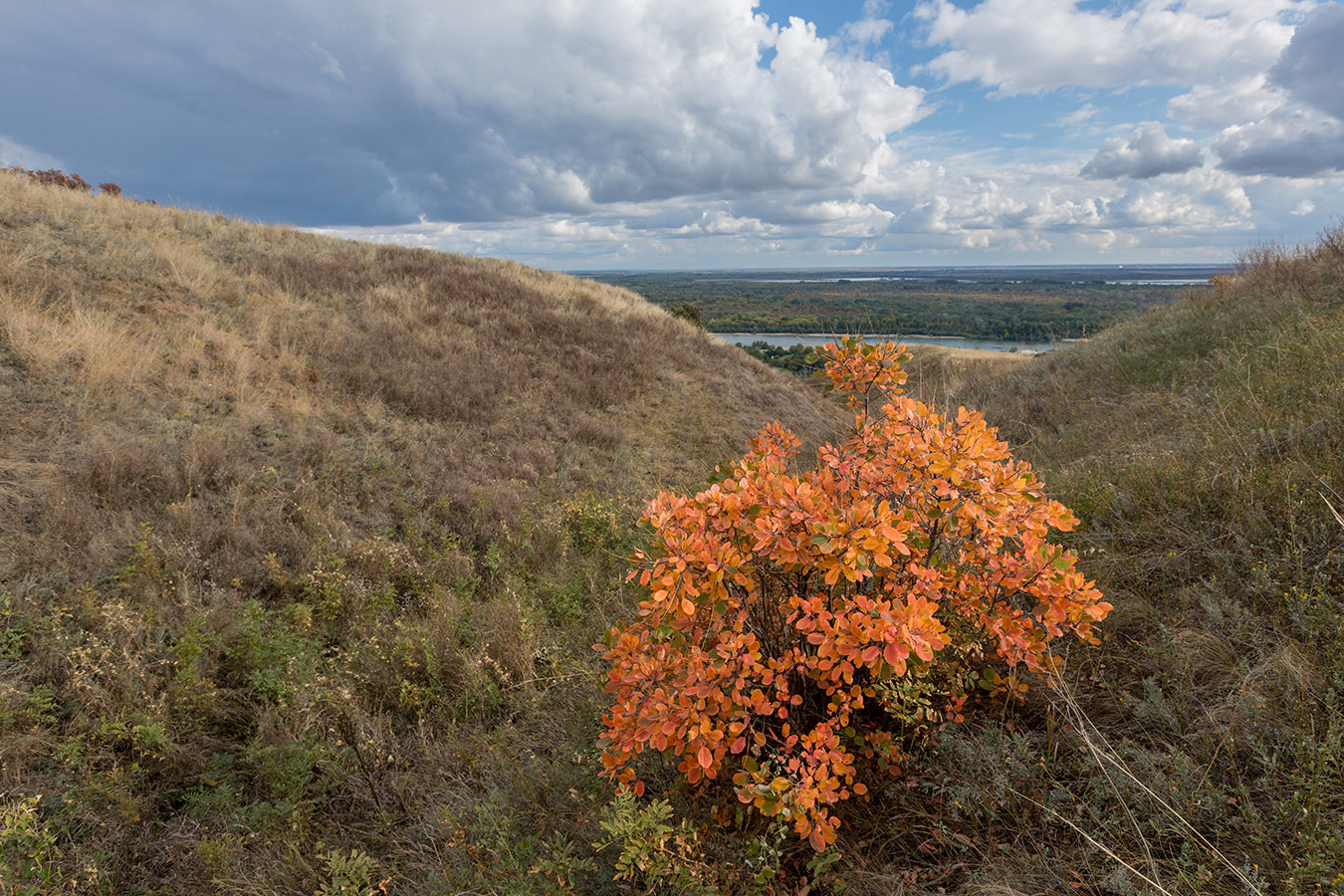 Раздорские склоны, image of landscape/habitat.