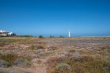 Saladar de Jandia, image of landscape/habitat.