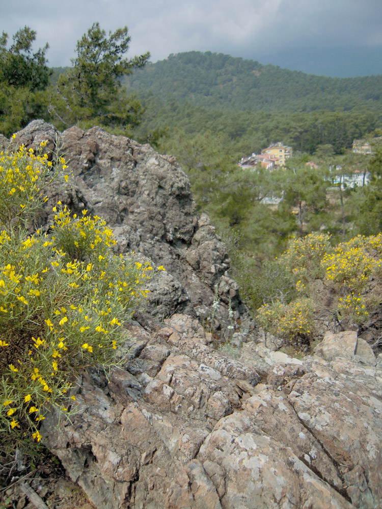 Кемер и окрестности, image of landscape/habitat.