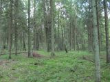 Image of landscape