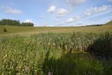 Image of landscape