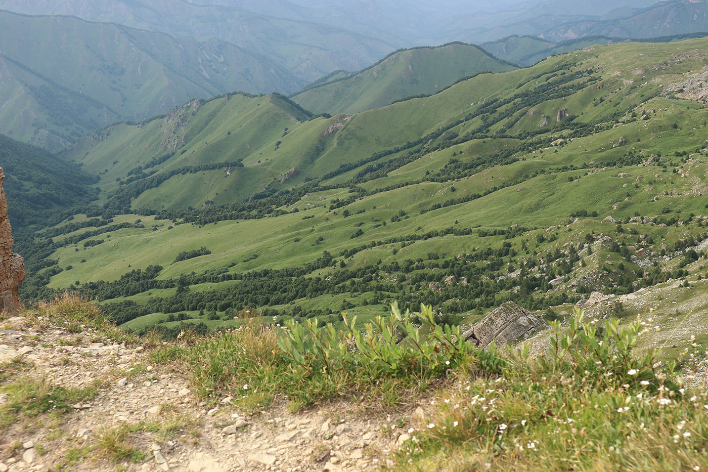 Большой Бермамыт, image of landscape/habitat.