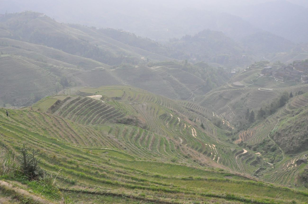 Рисовые террасы Дажай, image of landscape/habitat.