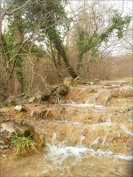 Окрестности мыса Шесхарис, image of landscape/habitat.