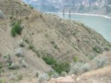 Image of landscape