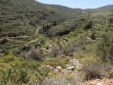 Image of landscape