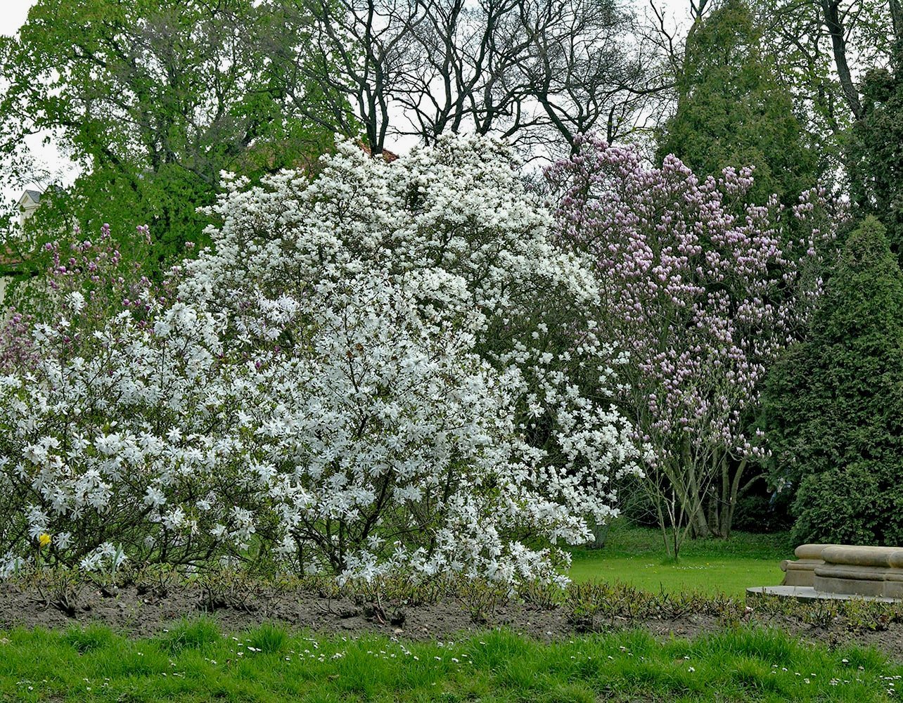 Пругонице, image of landscape/habitat.