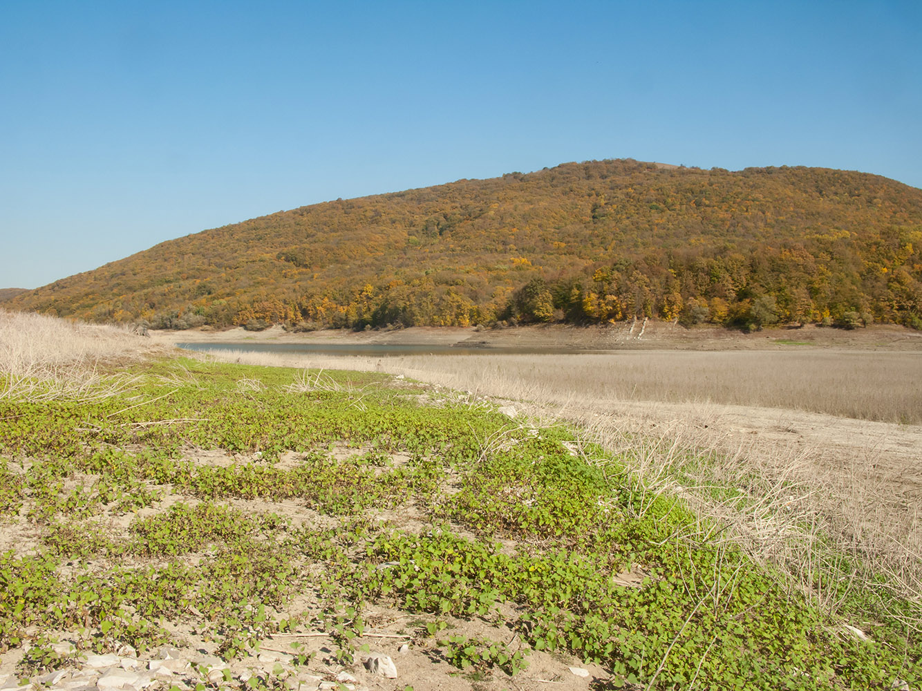 Неберджаевское водохранилище, image of landscape/habitat.