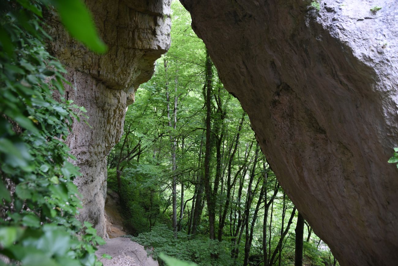 Окрестности скалы Парус, image of landscape/habitat.