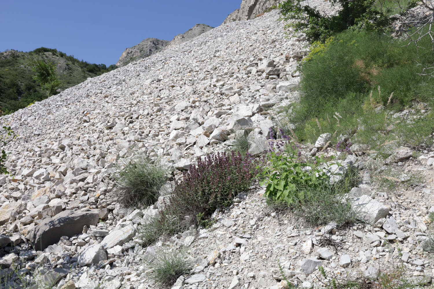 Сулакский каньон, image of landscape/habitat.