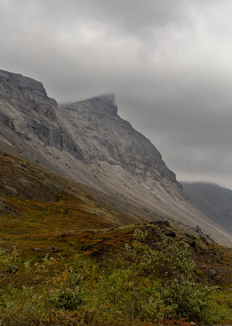 Долина Кукисвум, image of landscape/habitat.