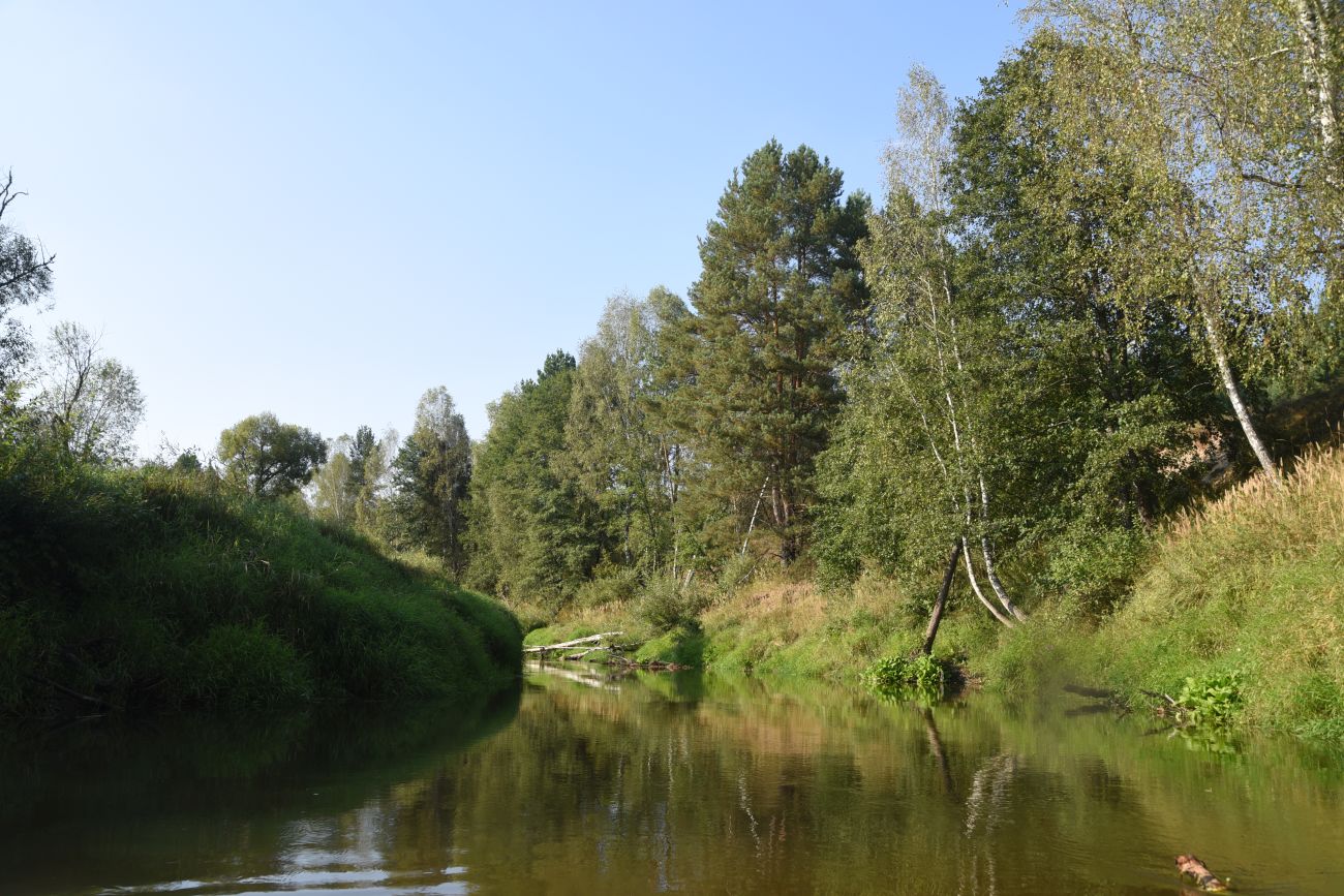 Устье ручья Черебеть, image of landscape/habitat.