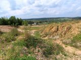 Песчаный карьер "Рутковское", image of landscape/habitat.