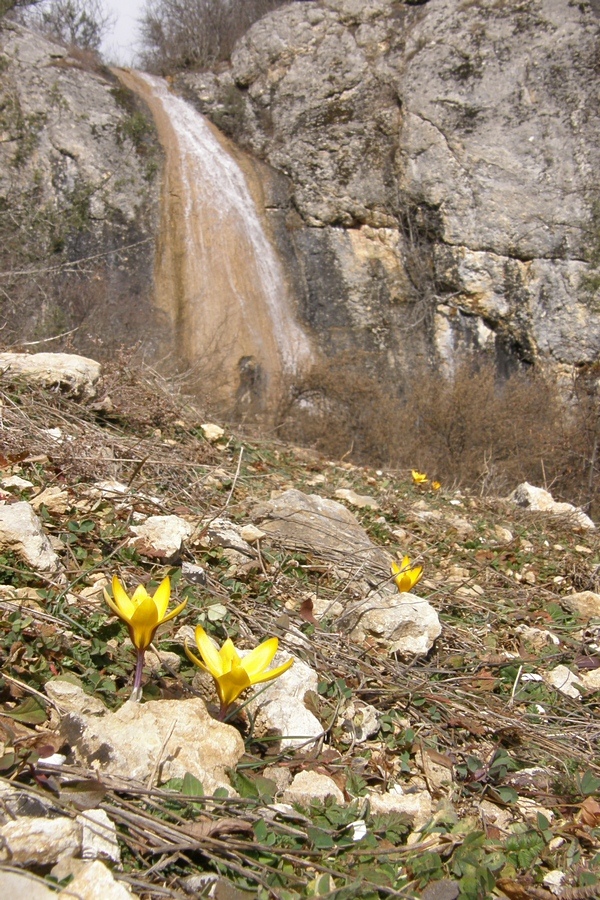 Байдарская долина, image of landscape/habitat.