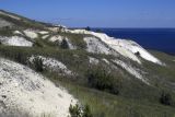 Image of landscape