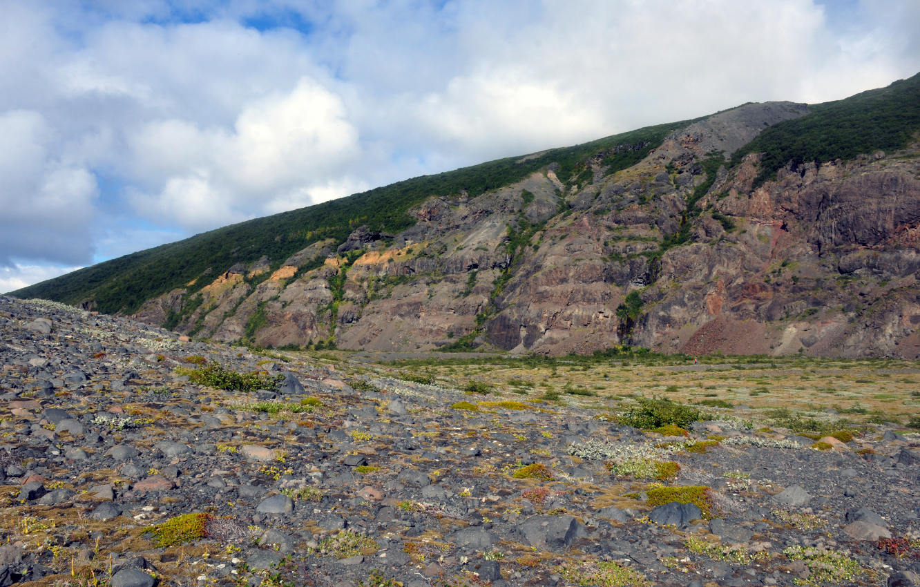 Ватнайокюдль (юг), image of landscape/habitat.
