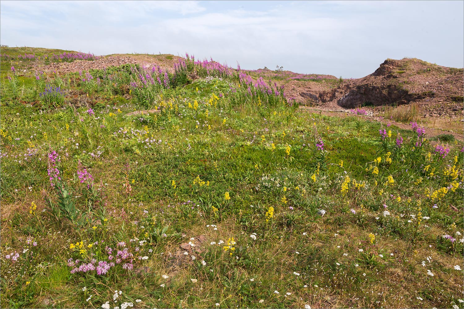 Аметистовый берег, image of landscape/habitat.