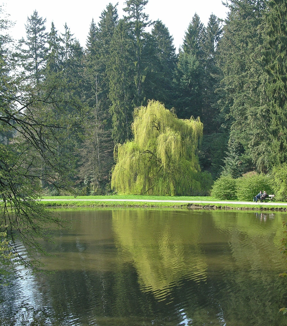 Пругонице, image of landscape/habitat.