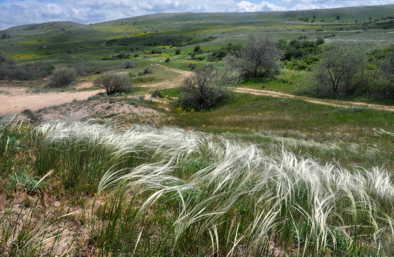 Долина реки Сююрташ, image of landscape/habitat.