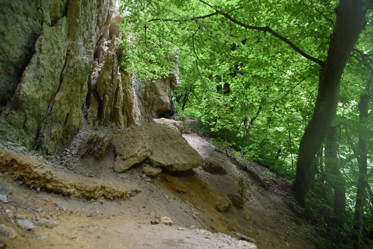 Окрестности скалы Парус, image of landscape/habitat.