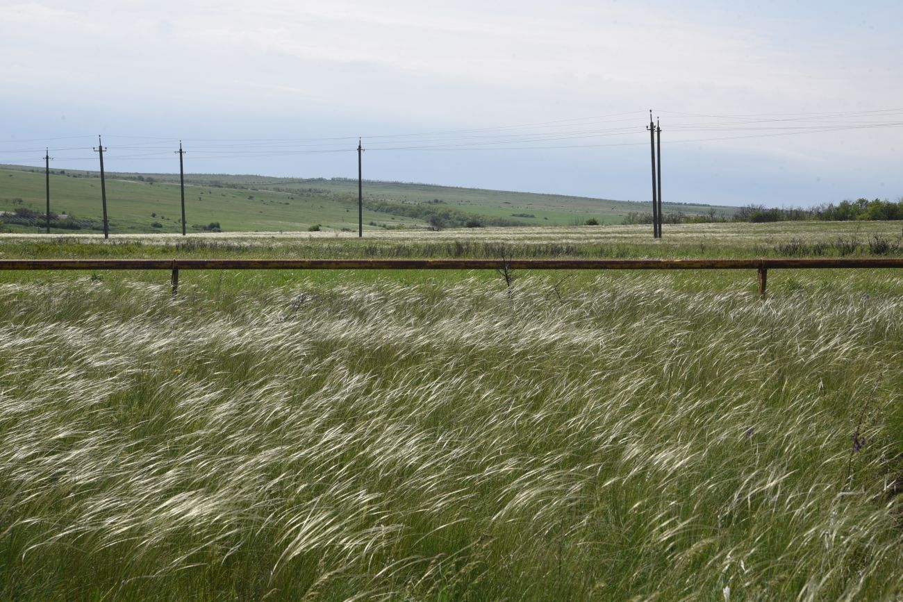 Окрестности села Провалье, image of landscape/habitat.