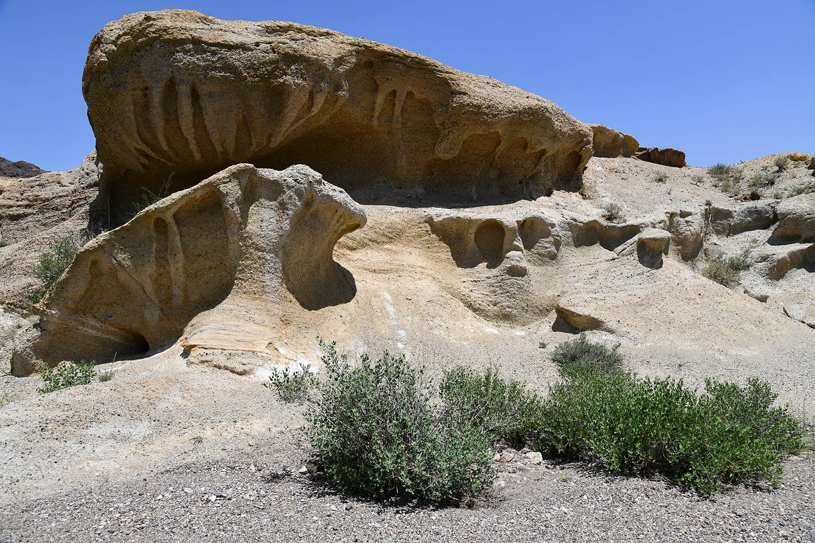 Мадыген, image of landscape/habitat.