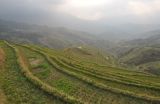 Image of landscape