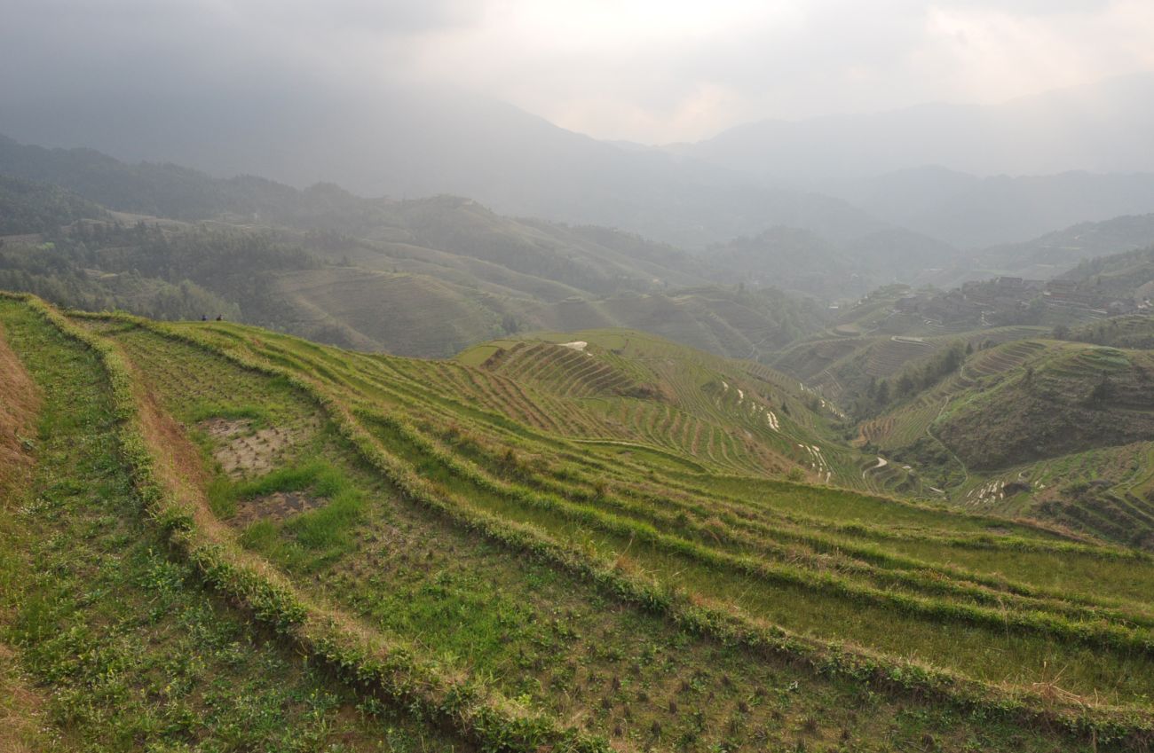 Рисовые террасы Дажай, image of landscape/habitat.