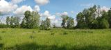 Image of landscape