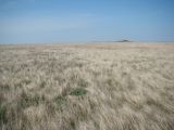 Image of landscape