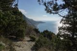 Landscape image