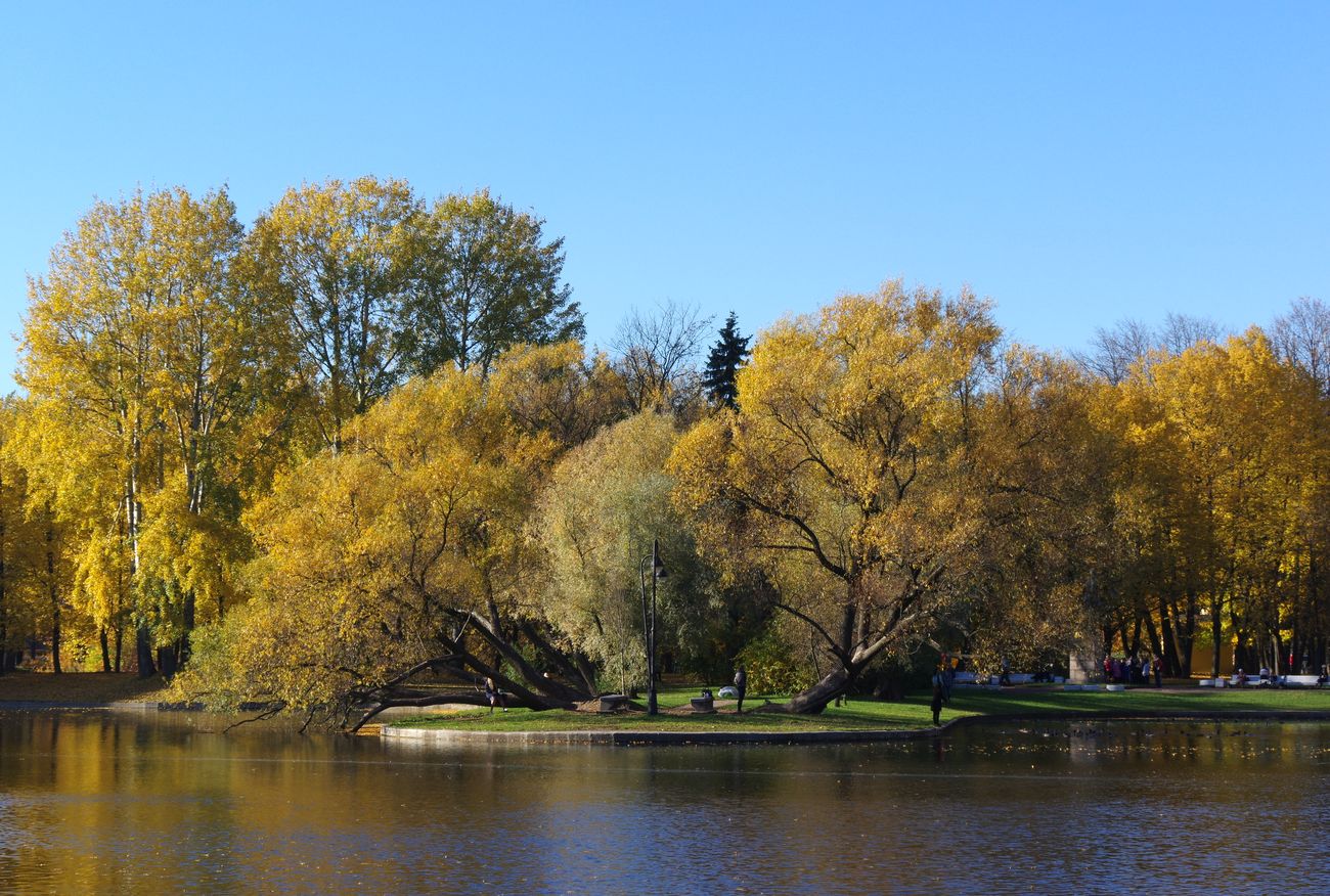 Московский район, image of landscape/habitat.