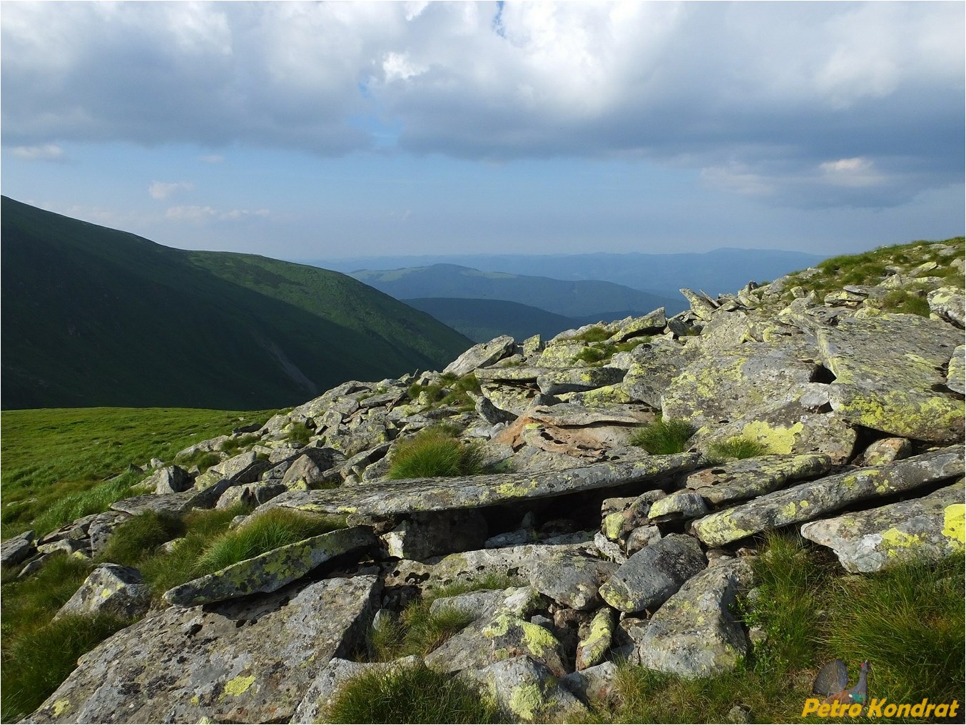 Черногора, image of landscape/habitat.