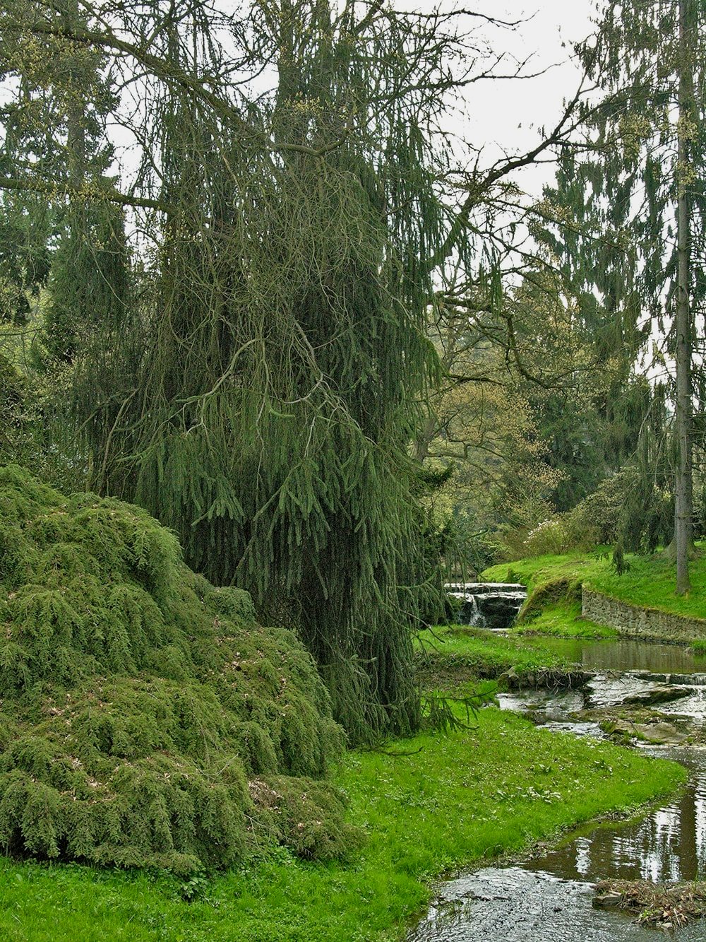 Пругонице, image of landscape/habitat.
