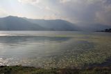 Image of landscape