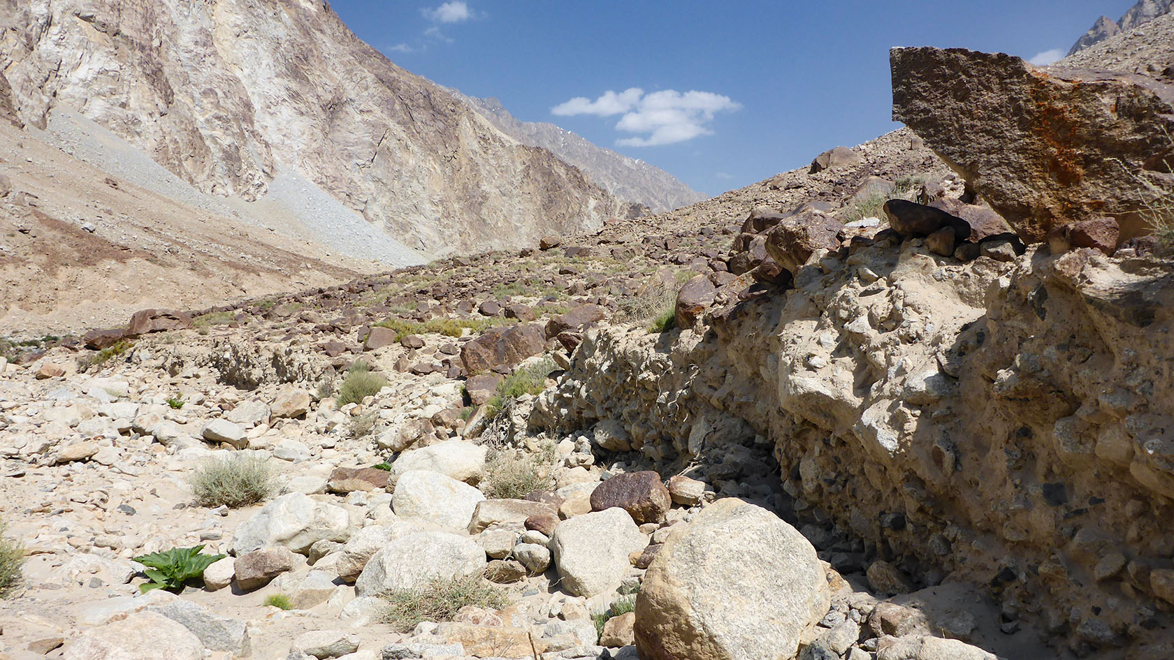 Каттамарджанай, image of landscape/habitat.