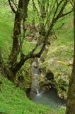 Окрестности деревни Ннги, image of landscape/habitat.