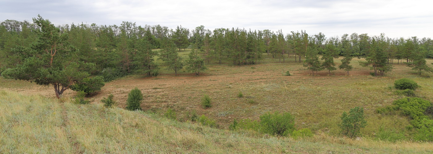 Долина реки Миус (Тр. с/п), image of landscape/habitat.