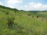 Image of landscape