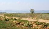 Image of landscape