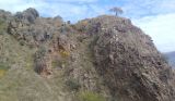 Image of landscape