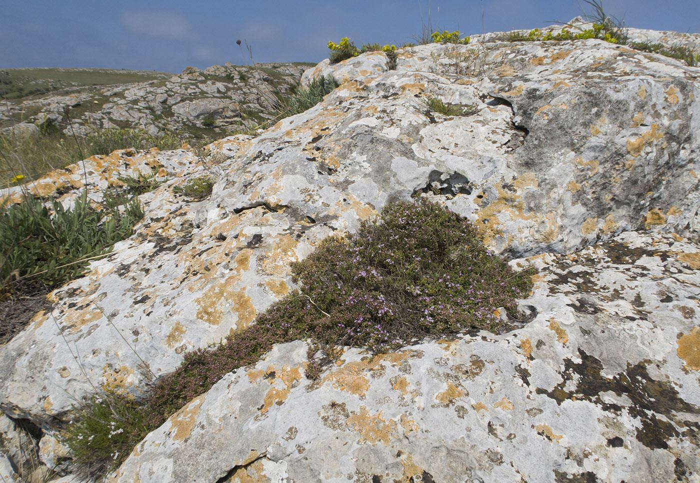 Казантип, image of landscape/habitat.