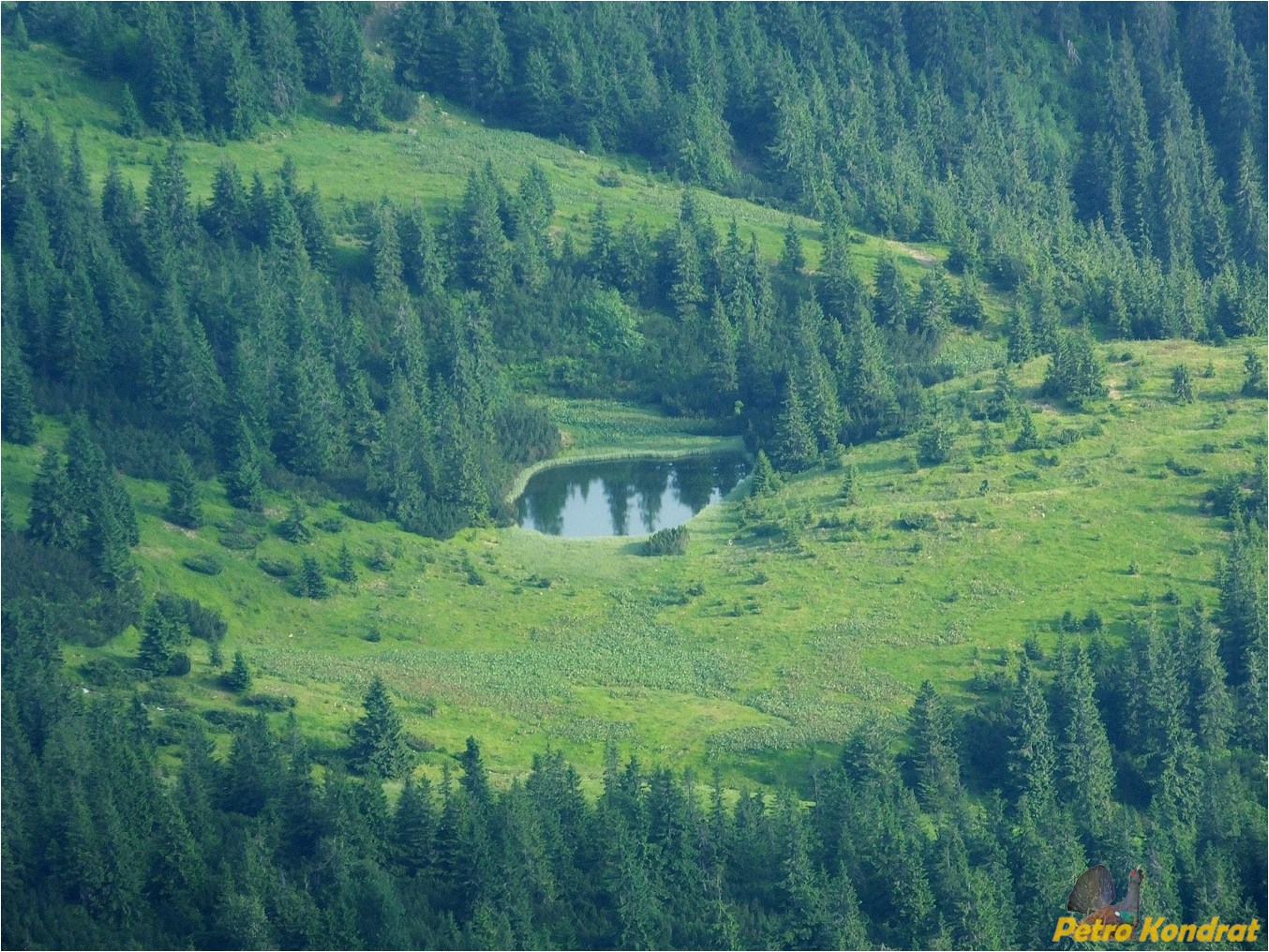 Черногора, image of landscape/habitat.