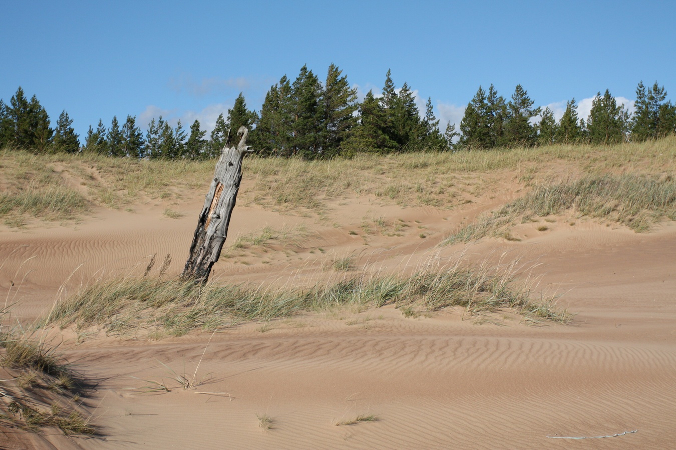 Устье Тулоксы, image of landscape/habitat.