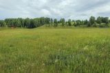 Image of landscape